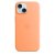 Apple Silicone Case 1:1 for iPhone 15 with MagSafe Orange Sorbet
