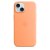 Apple Silicone Case 1:1 for iPhone 15 with MagSafe Orange Sorbet