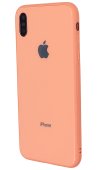 Glass+TPU Case for iPhone Xs Max Orange