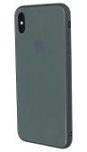 Glass+TPU Case for iPhone Xs Max Pine Green
